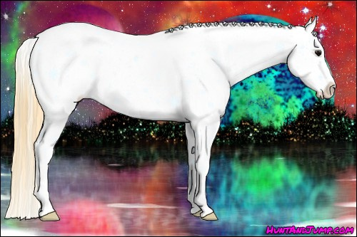 Horse Color:Smoky Black Splash Frame Appaloosa