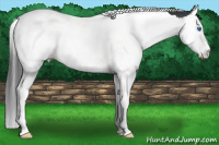 Horse Color:Brown Splash Tobiano 