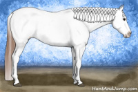 Horse Color:Bay Frame Appaloosa 