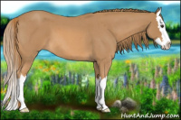 Horse Color:Red Roan Splash 