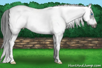 Horse Color:White Spotted Blue Roan Splash Frame