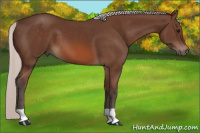 Horse Color:Silver Brown 