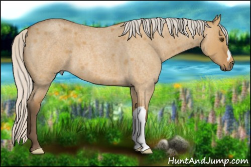 Horse Color: Silver Buckskin Roan Dun 