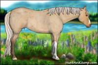 Horse Color:Silver Buckskin Roan Dun 