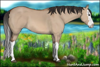 Horse Color:Bay Dun Splash