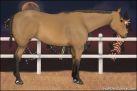 Horse Color:Buckskin 