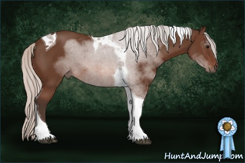 Horse Color: Silver Brown Tobiano 