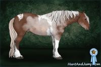 Horse Color:Silver Brown Tobiano 