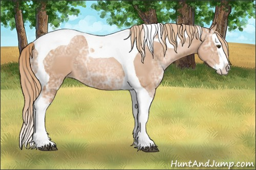 Horse Color: Liver Chestnut Ice Pearl Splash Tobiano 