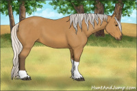 Horse Color:Silver Buckskin Tobiano 