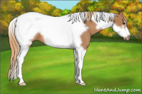Horse Color:Red Roan Tobiano Frame