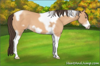 Horse Color:Amber Champagne Tobiano Frame 