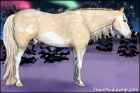 Horse Color:Palomino Ice Roan Splash Frame Rabicano 