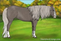 Horse Color:Silver Black Splash 