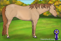 Horse Color:Red Dun 