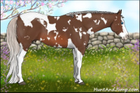 Horse Color:White Spotted Silver Brown Splash Tobiano
