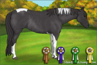 Horse Color:Buckskin Roan Tobiano Rabicano