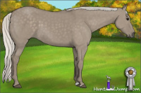 Horse Color:Silver Smoky Grullo 