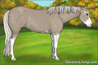 Horse Color:Silver Smoky Grullo Sabino 