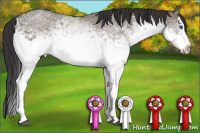 Horse Color:White Spotted Smoky Grullo Splash 