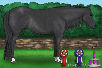 Horse Color:Black Rabicano 
