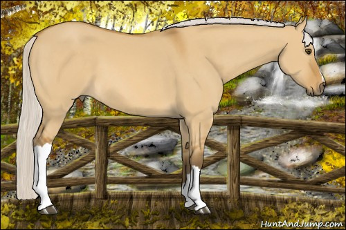 Horse Color: Silver Buckskin Dun 