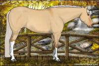 Horse Color:Silver Buckskin Dun