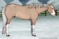 Horse Color:Silver Bay Roan Dun Splash 