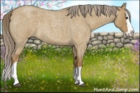 Horse Color:Chocolate Palomino Roan Dun Splash