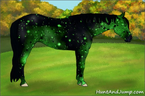 Horse Color: ERROR: UNKNOWN ANOMALY