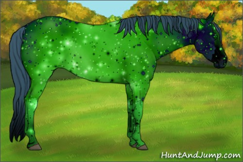 Horse Color: ERROR: UNKNOWN ANOMALY