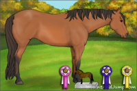 Horse Color:Bay Rabicano 