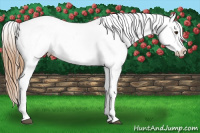Horse Color:Chestnut Tobiano Varnish 
