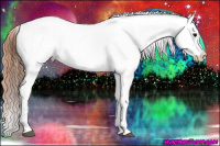 Horse Color:Bay Tobiano Appaloosa