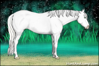 Horse Color:Silver Amber Cream Champagne Dun Near Leopard 