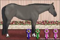 Horse Color:Brown Dun 