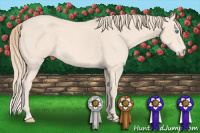 Horse Color:Perlino 