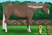 Horse Color:Silver Black 