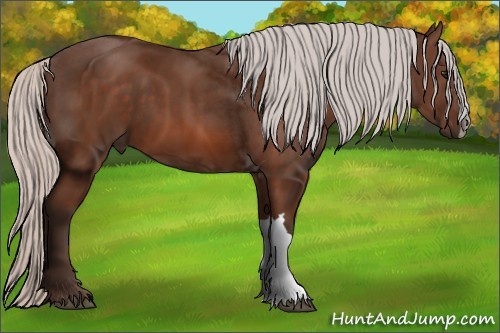 Horse Color: Silver Bay 