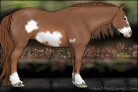 Horse Color:Liver Chestnut Frame 