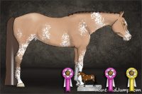 Horse Color:White Spotted Amber Champagne Splash 