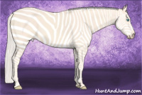 Horse Color:Cremello 