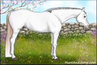 Horse Color:Red Roan Near Leopard 
