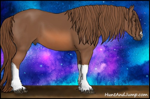 Horse Color: Liver Chestnut 