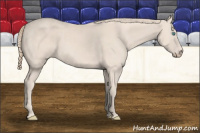 Horse Color:Perlino 