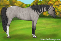 Horse Color:Grullo Roan Tobiano