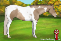 Horse Color:Gray Silver Smoky Black Pearl Tobiano 