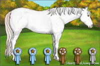 Horse Color:White Spotted Silver Classic Champagne 