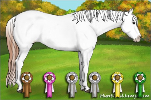 Horse Color: Black Splash Blanket 