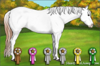 Horse Color:Black Splash Blanket 